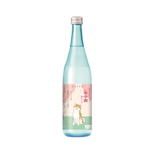 しぼりたて新酒のおすすめ6選｜冬の日本酒の選び方【2026年版】